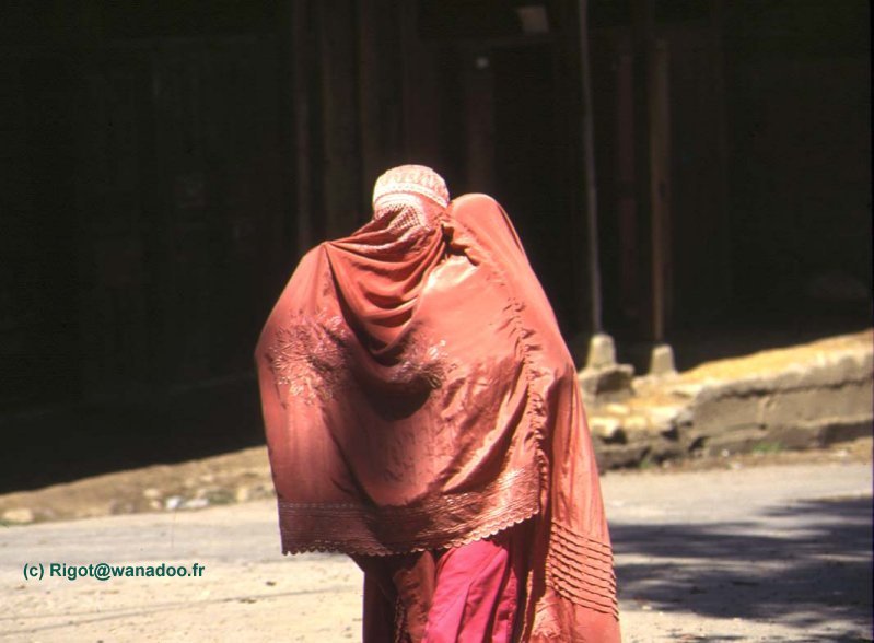 pakistan-femme.jpg