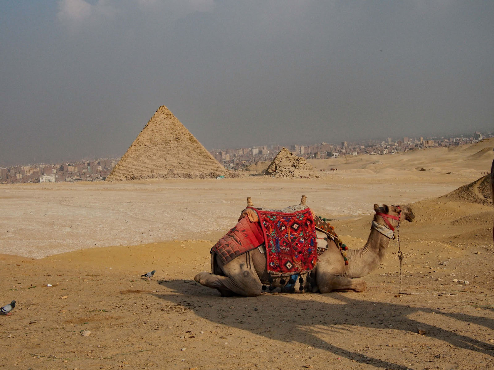 Egypte - Pyramides