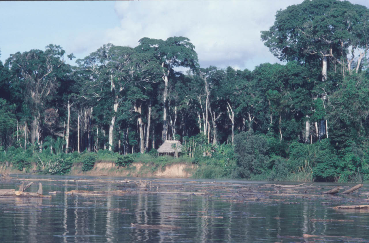 rio maldonado 