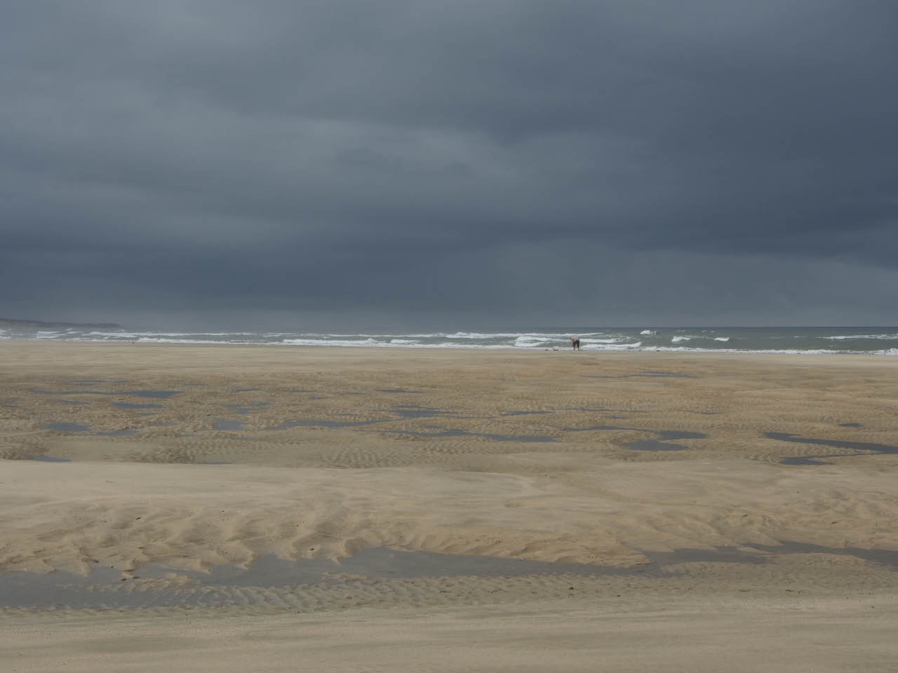 bordelais 12